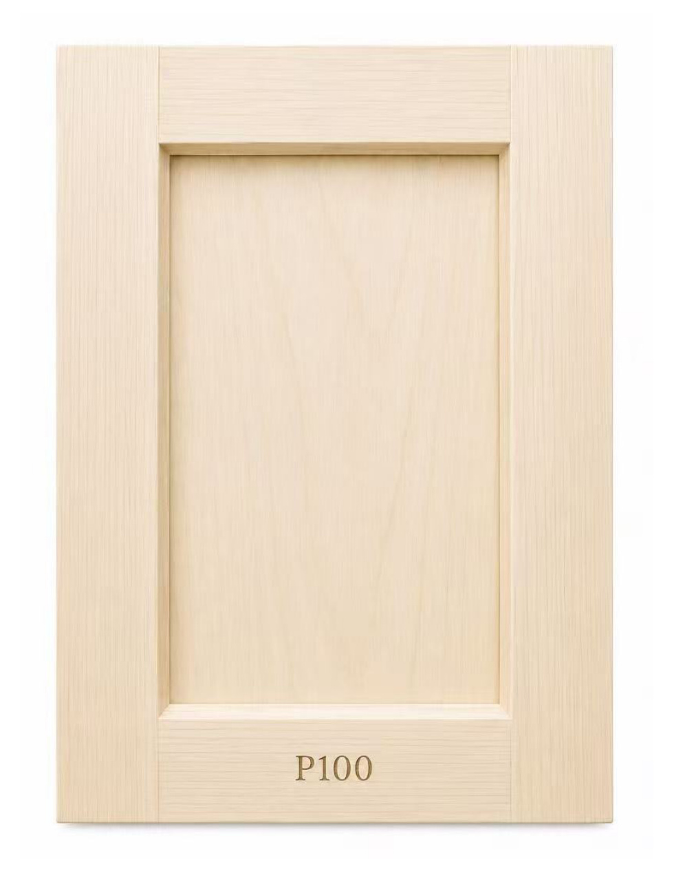 P100 cabinet door